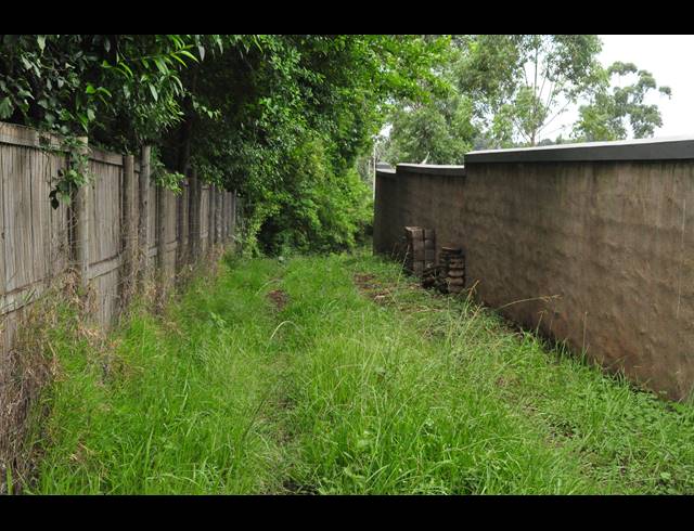 5,931M² VACANT LAND FOR SALE IN FOREST HILLS